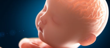 Prevenzione della Sindrome Alcolica Fetale