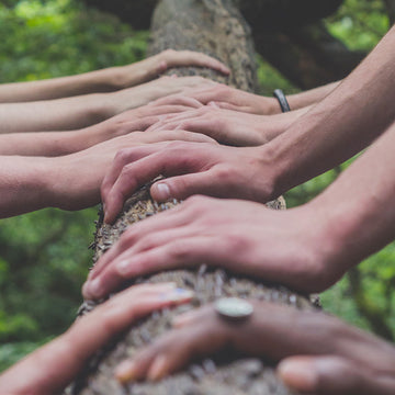 Insieme è più semplice