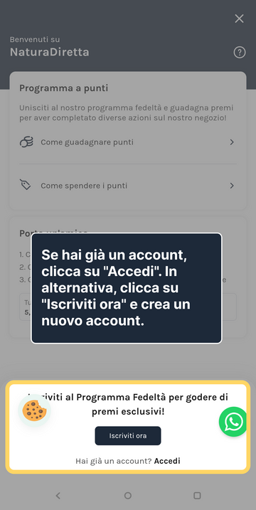 2. Effettua il login