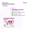 Kit cistite post coitale o "da luna di miele"