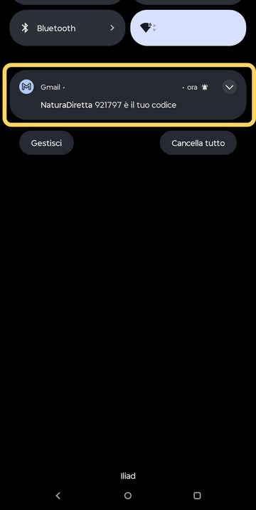 3. Ricevi il codice di accesso